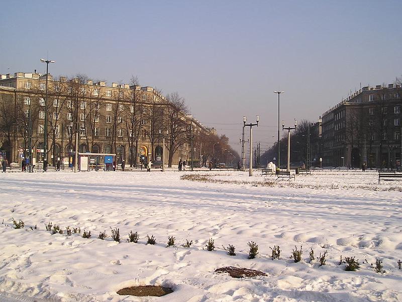 p6.jpg